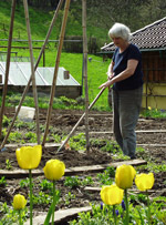 Anni bei der Gartenarbeit